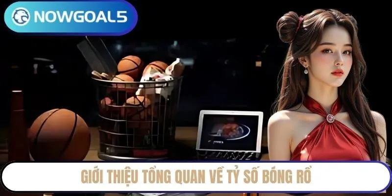 Giới thiệu tổng quan về tỷ số bóng rổ