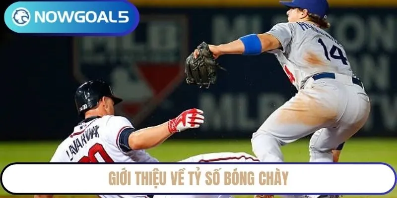 Giới thiệu về tỷ số bóng chày