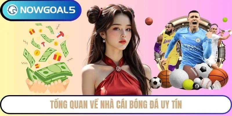 Tổng quan về nhà cái bóng đá uy tín